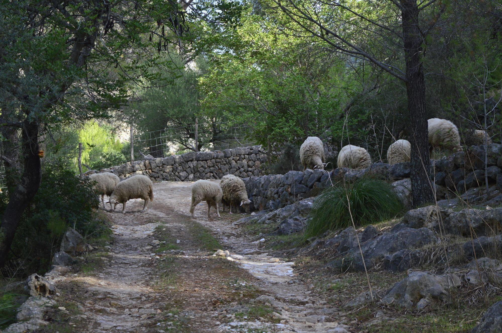 Penzion Sa Rota De Ca'N Casetes Caimari Exteriér fotografie